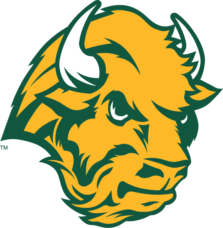 North Dakota State Bison 2006-2012 Secondary Logo iron on transfers for clothing